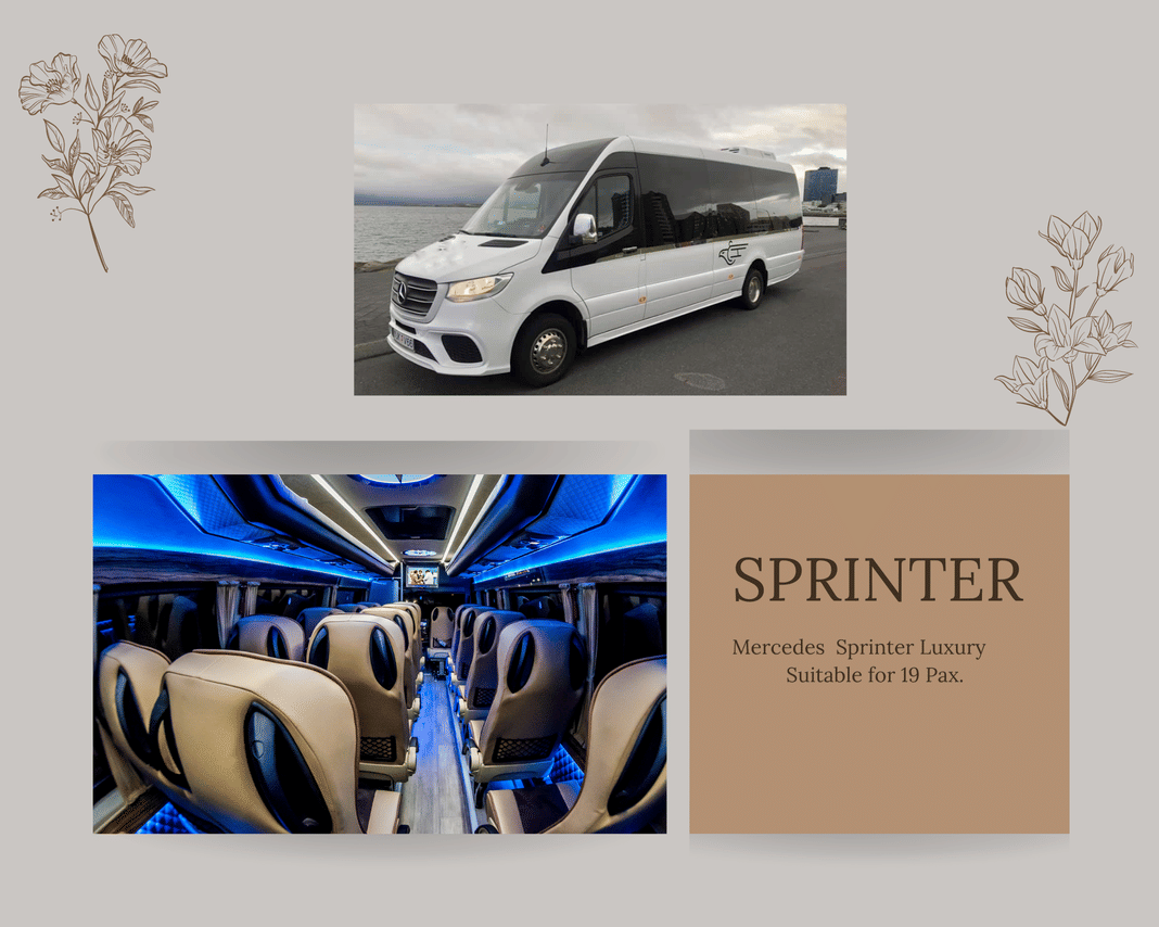 Private Blue Lagoon transfer with 3h wait - Sprinter 19 Pax  4