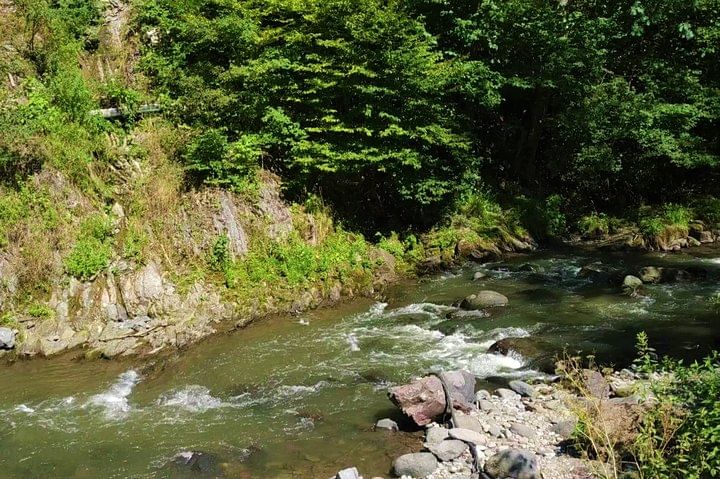 River in Borjomi Central Park
