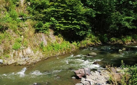 Scenic Day Tour to Borjomi and Bakuriani from Tbilisi