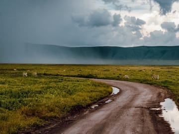 From Arusha: Ngorongoro Crater Day Tour