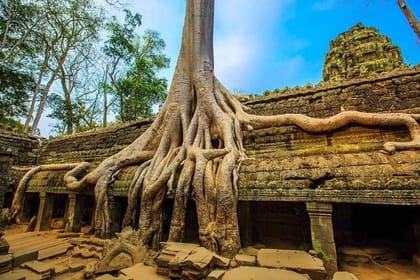 Cambodia 5 Days Tour from Siem Reap to Phnom Penh