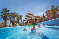 Atlantis Aquaventure Waterpark + Lost World Aquarium Tickets
