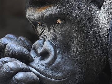 8-Day Private Safari Tour in Kampala, Mbarara, and Mubende