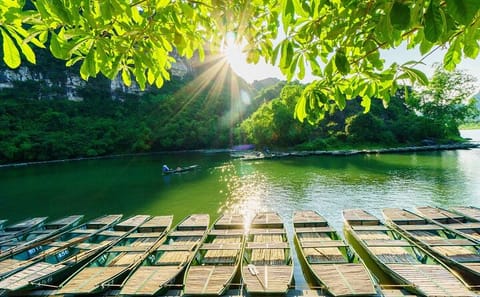 Hanoi to Ninh Binh Private Day Tour : Bai Dinh Trang An Mua Cave
