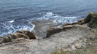 Visit the Unique & Only Bulgarian Black Sea Island Saint Anastasia 8