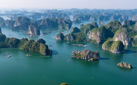 Indochine 2D1N Cruise Shared Tour in Halong and Lan Ha Bay