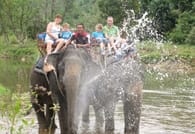 PHUKET-PHANG NGA: Bamboo Rafting, Elephant Bathing + Riding, Sea Turtle and activities choice 6