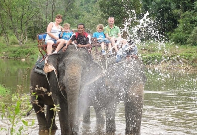 PHUKET-PHANG NGA: Bamboo Rafting, Elephant Bathing + Riding, Sea Turtle and activities choice photo 6