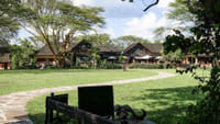 5 Days Wildebeest Migration Flying Safari  4