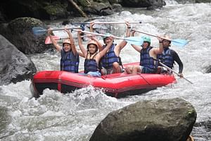 Bali Private Small Group White Water Rafting in Ubud
