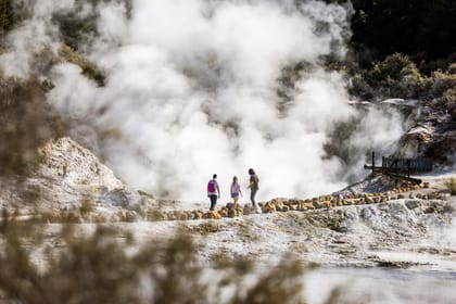 Day Trip to Hell's Gate Geothermal Reserve and Mud Spa from Auckland