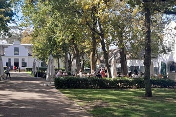 Private Full Day Wine Tasting Tour in Stellenbosch and Franschhoek