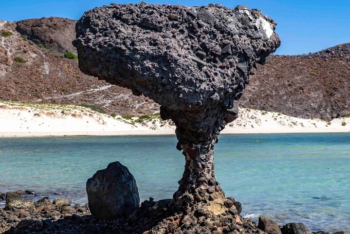 La Paz City Tour from Cabo 2