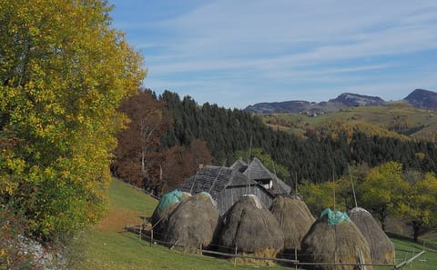 8-Day Cultural and Hiking Tour in Transylvanian Villages