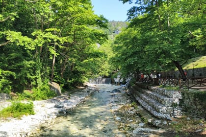 Thessaloniki: Pozar Thermal Baths & Edessa Waterfalls Trip