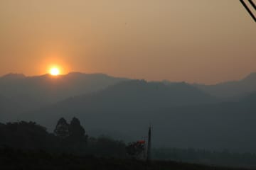 Monks Morning Almsgiving Tour (Food Offering)