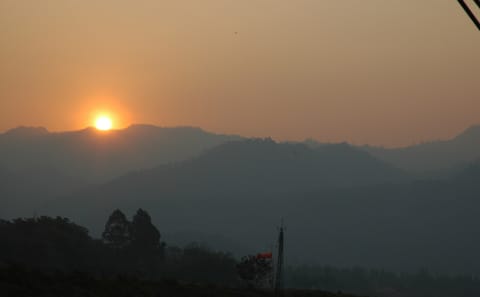 Morning Almsgiving Experience with Monks in Chiang Rai