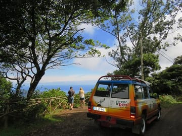 pinaculo
