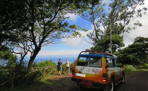 Half-Day 4X4 Tour of Traditional Farmers Market in Funchal
