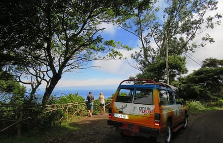 Half-Day 4X4 Tour of Traditional Farmers Market in Funchal