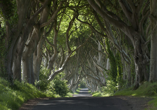 Titanic Experience and Giant's Causeway Tour from Belfast 7