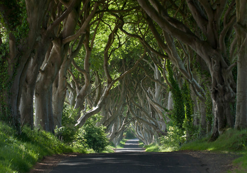 Titanic Experience and Giant's Causeway Tour from Belfast 7