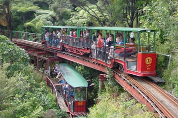 Two-Day Guided Tour of Coromandel Peninsula, New Zealand