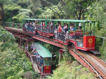 Two-Day Guided Tour of Coromandel Peninsula, New Zealand