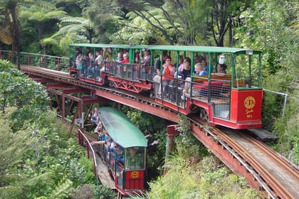 The most comprehensive all-inclusive Coromandel Peninsula tour over two days