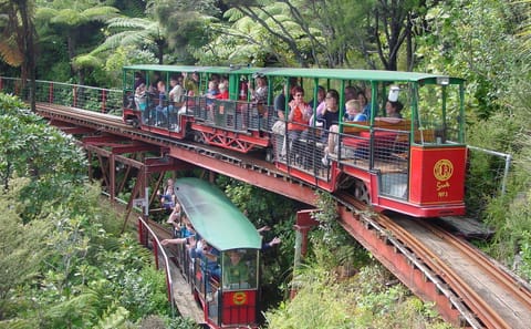 Two-Day Guided Tour of Coromandel Peninsula, New Zealand
