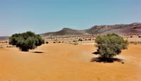 Agadir mini Sahara & National Park - guided day trip from Taghazoute 1