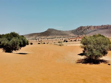 Guided Day Trip to Agadir's Mini Sahara and National Park