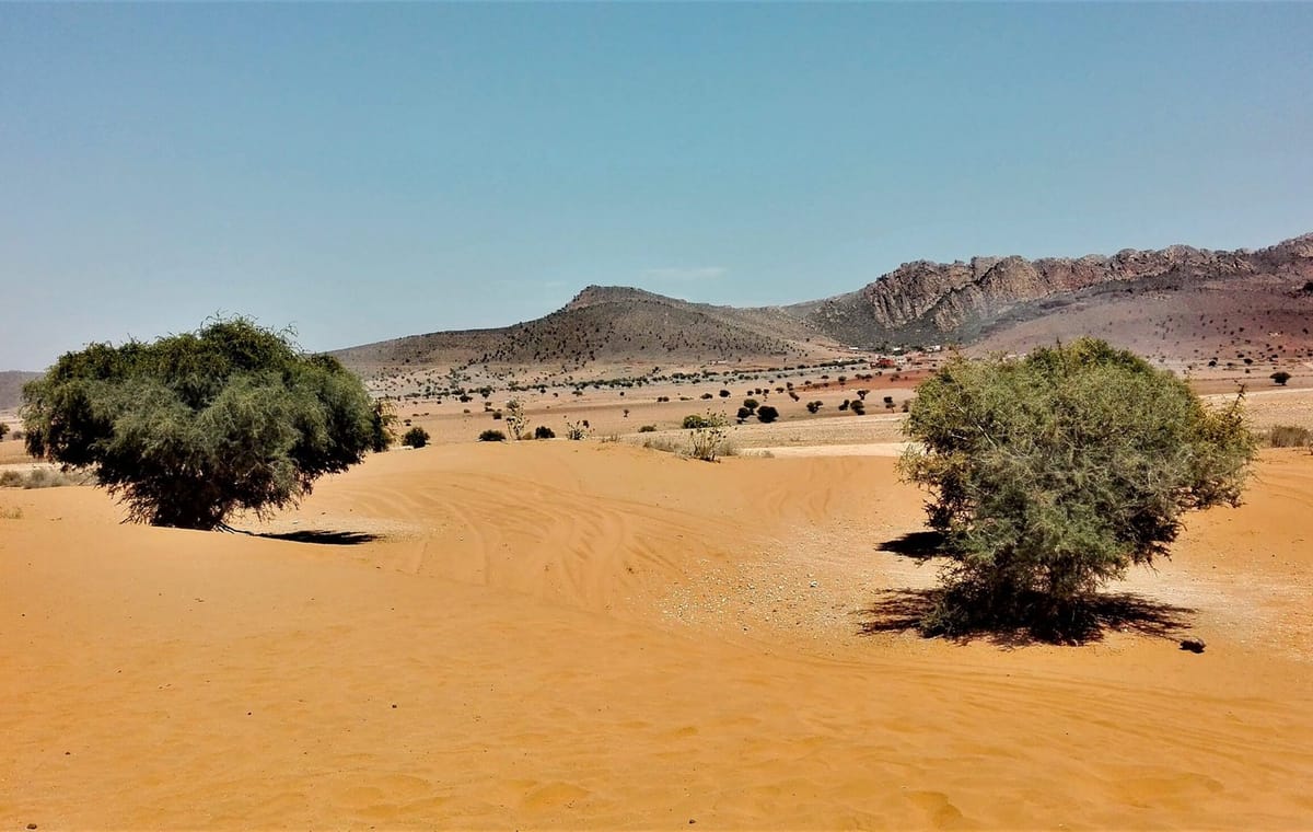Agadir mini Sahara & National Park – guided day trip from Taghazoute