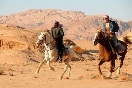 One-Hour Beach Horse Riding with Transfer from Hurghada