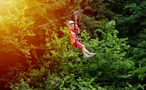 Skyline Jungle Luge & Zipline