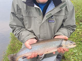 Fishing Day Tour From Akureyri, Husavik or Myvatn, photo 13