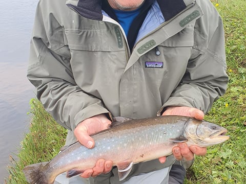 Fishing Day Tour From Akureyri, Husavik or Myvatn, photo 13