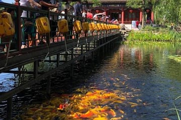 Guided Tour of Yuanmingyuan Park in Haidian District