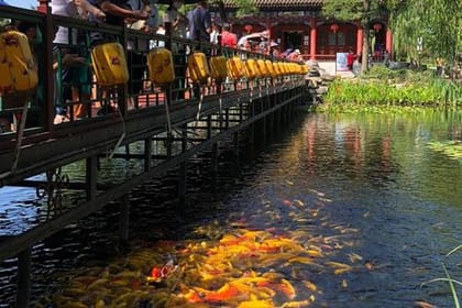 Yuanmingyuan Park (The old summer palace)- Adult tickets
