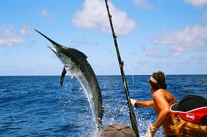 DEEP SEA GAME FISHING