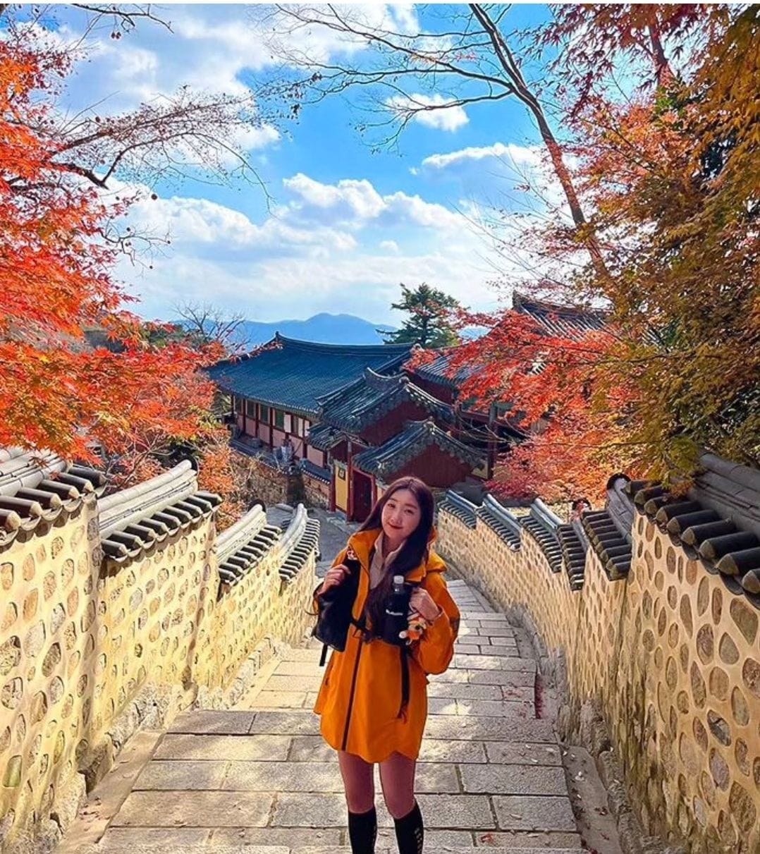 Beautiful autumn foliage surrounding Beomeosa Temple — a peaceful and colorful temple scene.
