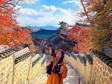 Beautiful autumn foliage surrounding Beomeosa Temple — a peaceful and colorful temple scene.
