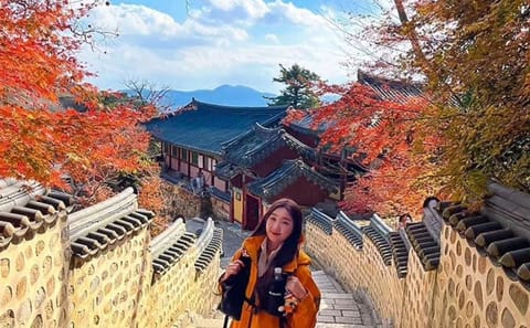 Private Hiking Tour in Busan: Explore Nature and Culture