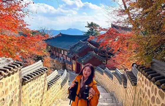 Busan Private Hiking Tour : Panoramic Views Awaits