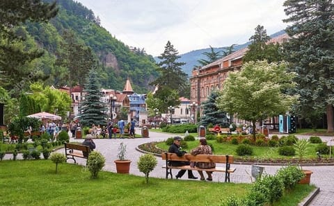 Cultural and Nature Tour of Vardzia and Borjomi, Georgia