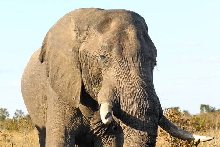 15 minutes scenic helicopter flight above Victoria Falls-Zimbabwe