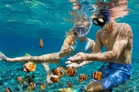 Grand Cayman Stingray City and Snorkeling with Beach Lunch 4