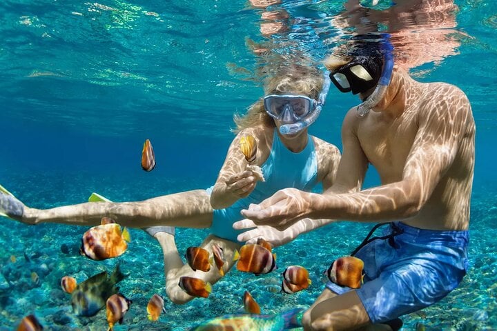Grand Cayman Stingray City and Snorkeling with Beach Lunch 4