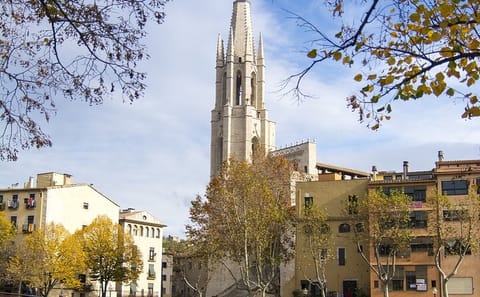 Private Walking Tour of Girona's Historic Sites and Landmarks