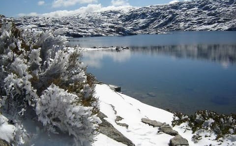 Private Full Day Nature Tour in Serra da Estrela, Portugal